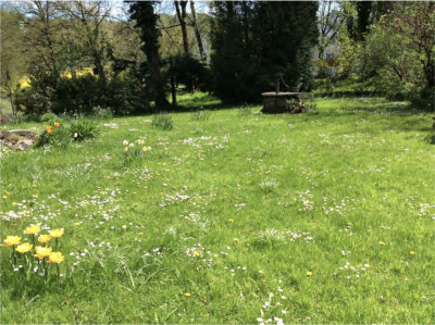 Lorem ipsum dolor sit amet, consetetur sadipscing elitr, sed diam nonumy eirmod tempor invidunt ut labore et dolore magna aliquyam